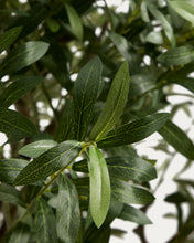 Load image into Gallery viewer, Artificial Olive tree with white pot 210cm - image 5