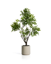 Load image into Gallery viewer, Artificial Rhus tree with white pot 185cm