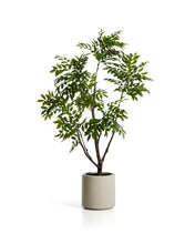 Load image into Gallery viewer, Artificial Rhus tree with white pot 185cm - image 2