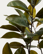 Load image into Gallery viewer, Artificial Magnolia tree with white pot 160cm - image 2