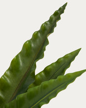 Load image into Gallery viewer, Artificial Neottopteris plant with white pot 70cm - image 3