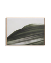 Load image into Gallery viewer, Foliae leaf photograph picture 52 x 72cm - image 2
