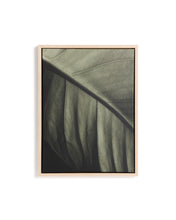 Load image into Gallery viewer, Foliae leaf photograph picture 32.5 x 42.5cm