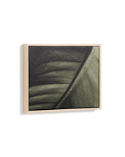 Load image into Gallery viewer, Foliae leaf photograph picture 32.5 x 42.5cm - image 3