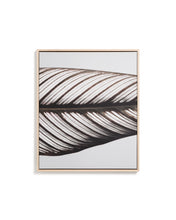 Load image into Gallery viewer, Foliae leaf photograph picture 52.5 x 62.5cm