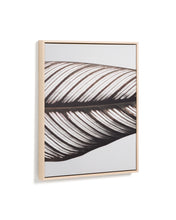 Load image into Gallery viewer, Foliae leaf photograph picture 52.5 x 62.5cm - image 3