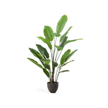 Load image into Gallery viewer, Artificial Banana plant in black pot 210 cm