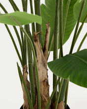 Load image into Gallery viewer, Artificial Banana plant in black pot 210 cm - image 5