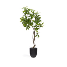 Load image into Gallery viewer, Artificial Pachira tree in black pot 180 cm