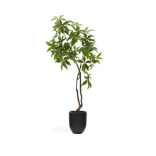 Load image into Gallery viewer, Artificial Pachira tree in black pot 180 cm - image 2