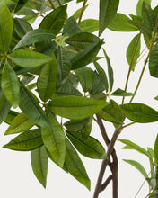 Load image into Gallery viewer, Artificial Pachira tree in black pot 180 cm - image 4