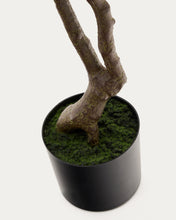 Load image into Gallery viewer, Artificial Pachira tree in black pot 180 cm - image 5