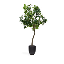 Load image into Gallery viewer, Artificial Ficus tree in black pot 210 cm