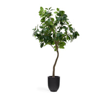 Load image into Gallery viewer, Artificial Ficus tree in black pot 210 cm - image 2