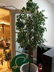 Faux Plant