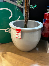 Load image into Gallery viewer, White Ceramic Pot