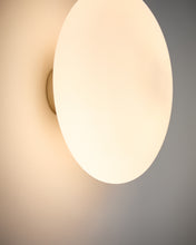 Load image into Gallery viewer, Bamila smoked glass and nickel wall lamp Ø25cm - image 5