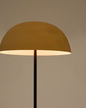 Load image into Gallery viewer, Nibla black metal floor lamp with terracotta effect shade - image 6