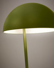 Load image into Gallery viewer, Catlar ash wood and metal floor lamp in a green painted finish - image 3