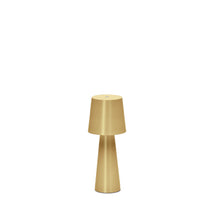 Load image into Gallery viewer, Arenys small metal table lamp in a gold painted finish