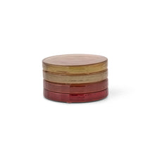Load image into Gallery viewer, Carnaby Glass Coasters - Set of 4