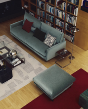 Load image into Gallery viewer, Norela Rug 200x300 cm