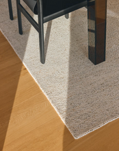 Load image into Gallery viewer, Lenuo Rug