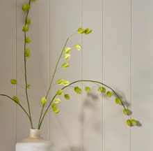 Load image into Gallery viewer, Physalis Spray, Green