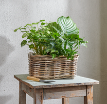 Load image into Gallery viewer, Littleton Wicker Square Basket