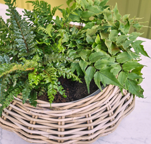 Load image into Gallery viewer, Littleton Wicker Round Basket