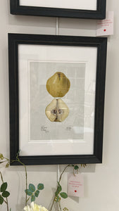 Quince No. 45908