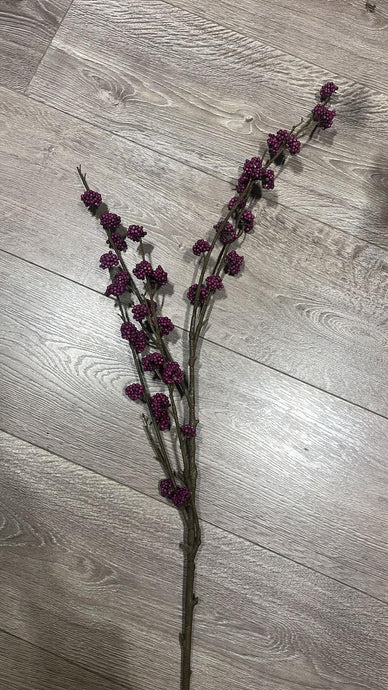 Callicarpa Twig