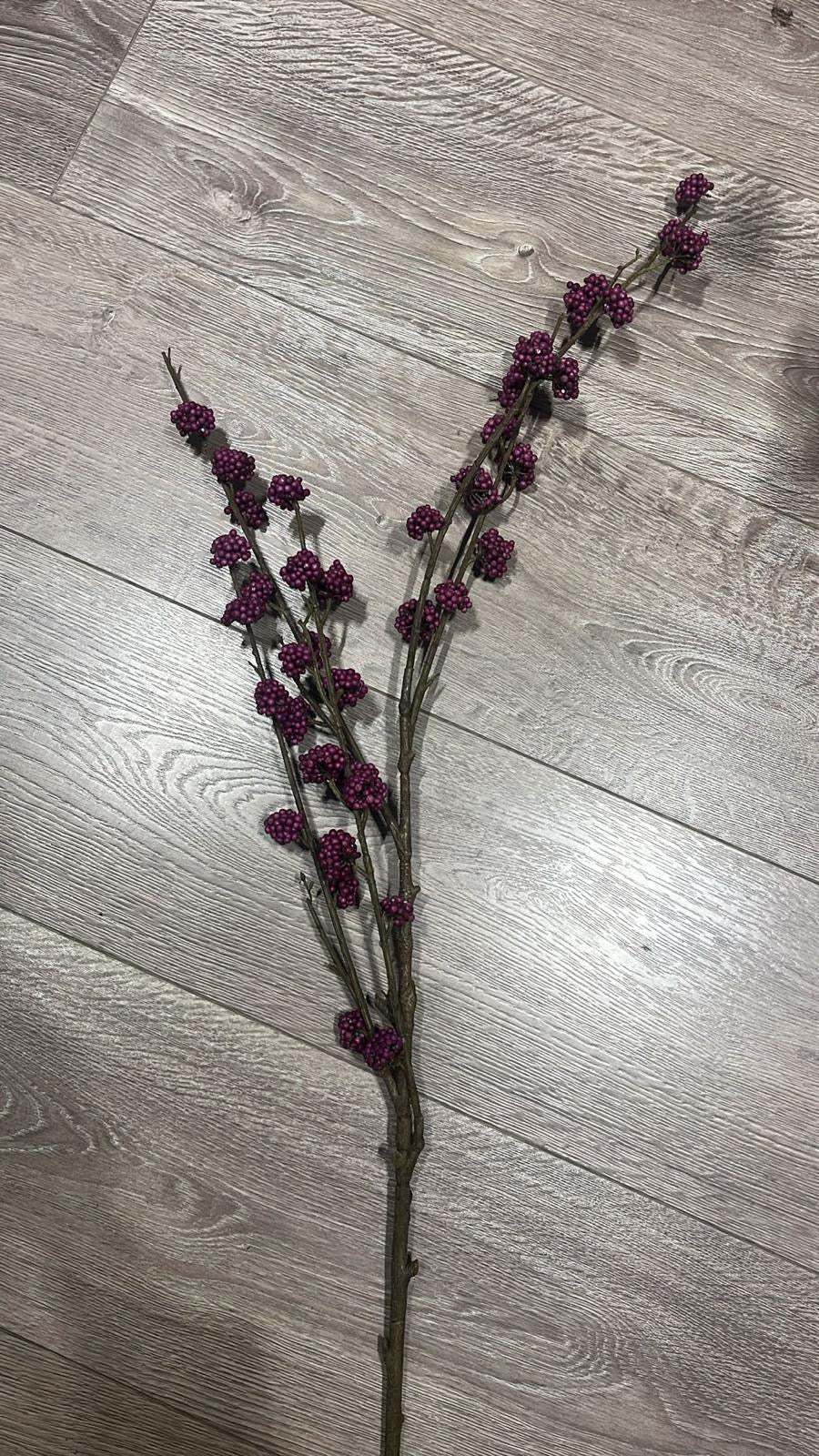 Callicarpa Twig
