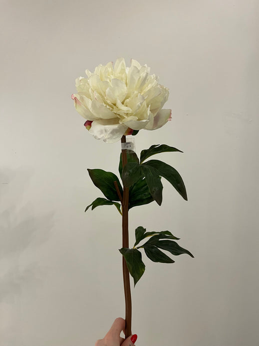 Peony White