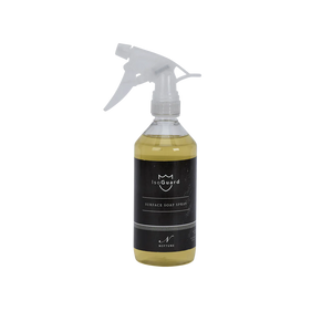 IsoGuard® Surface Soap