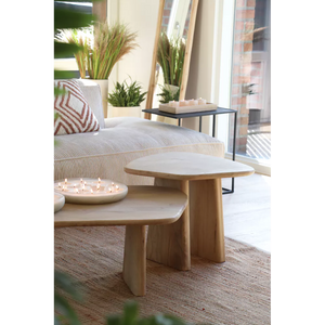 Mango Wood Coffee Table / Large