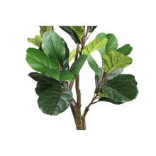 Load image into Gallery viewer, Green Fiddle Leaf Fig In Pot