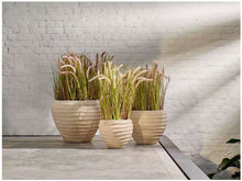 Load image into Gallery viewer, Beige Artificial Grass Plant