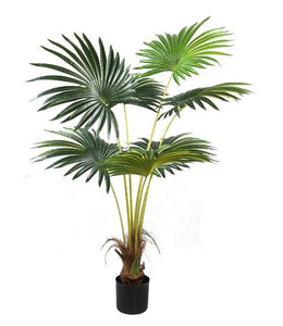 Synthetic Palm Tree in Black Pot
