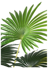 Load image into Gallery viewer, Synthetic Palm Tree in Black Pot